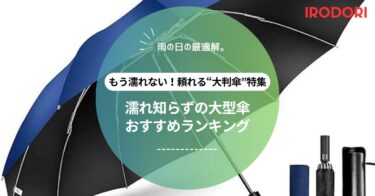 【風に強い×大判】大きい傘のおすすめ最強モデルまとめ｜ゴルフ傘・折りたたみ・長傘別に紹介